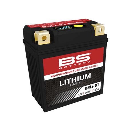 Batería de litio BS BATTERY BSLI-01 LFP01