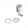 Pistón Airsal AM6 Ø50 06134950