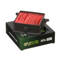 Filtro de aire Hiflofiltro HFA5007