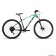 OFERTA ENERO BICICLETA 29" ANTRAC/MENTA JL-WENTI"PROWEN" 11VEL