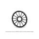 PLATO GARBARUK OVALADO DIRECT MOUNT AXS ROAD/GRAVEL (42T, BLACK)