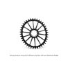 PLATO GARBARUK OVALADO DIRECT MOUNT AXS ROAD/GRAVEL (42T, BLACK)
