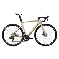 bicicleta vitoria ultimate ART RIVAL AXS