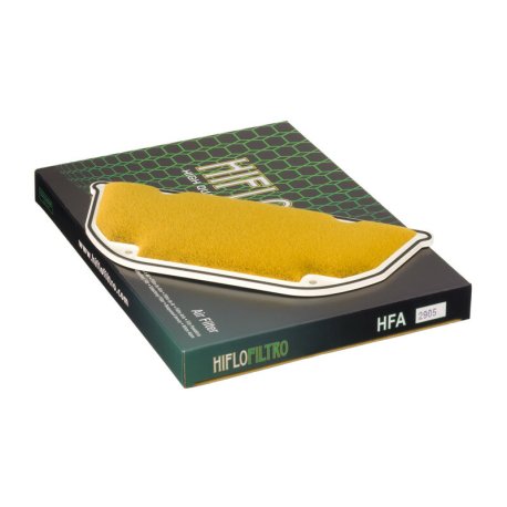 Filtro de aire HIFLOFILTRO - HFA2905