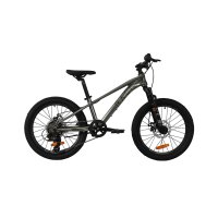 Bicicleta infantil Rali PRO-0 (20″) plata