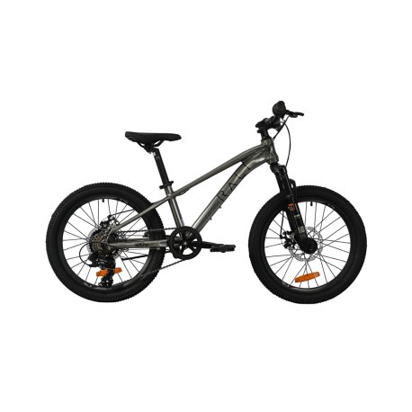 Bicicleta infantil Rali PRO-0 (20″) plata