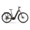 bicicleta ebike Raymon Tahona Wave