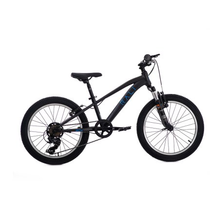 bicicleta infantil Rali PRO-1 (20″) negro