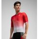 maillot corto sc m2 mareona Real Sporting de Gijón
