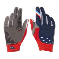 GUANTES ALPINESTARS MOTOCROSS AVIATOR AZUL-ROJO