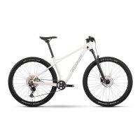 Bicicleta raymon arid