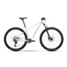 Bicicleta raymon arid
