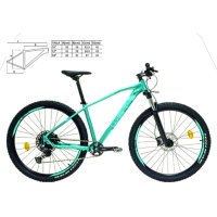 Bicicleta wst poison 9412