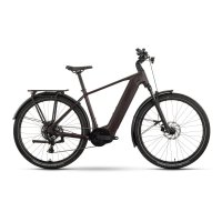 Bicicleta ebike raymon Tahona Comp