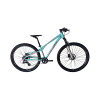 Bicicleta wolfbike turbo verde pastel-agua talla XS