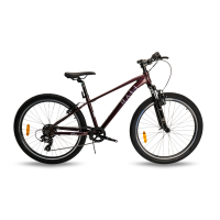 BLACK FRIDAY Bicicleta Rali PRO1 (26″) 2025 burgundy talla S