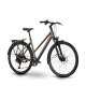 Bicicleta ebike Raymon Zayn Auto Trapeze