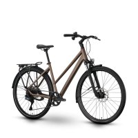 Bicicleta ebike Raymon Zayn Auto Trapeze