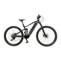 bicicleta ebike rali E-PRO DS 2025