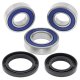 Kit rodamientos de rueda ALL BALLS 25-1458