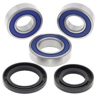 Kit rodamientos de rueda ALL BALLS 25-1458