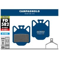 PASTILLAS FRENO GALFER DISCO BIKE ROAD BRAKE PAD - CAMPAGNOLO EKAR DB-310