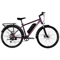Bicicleta ebike E Motorad T-Rex Pro 29 talla M