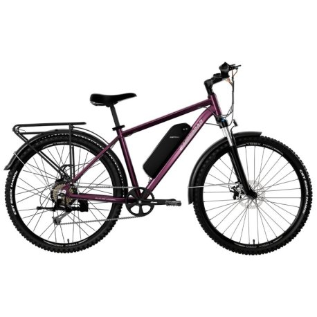 Bicicleta ebike E Motorad T-Rex Pro 29 talla M