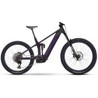 Bicicleta ebike raymon vamok pro