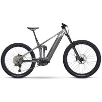 Bicicleta ebike Raymon Vamok Ultra