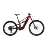 Bicicleta ebike raymon ravor pro