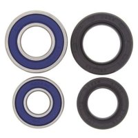 Kit rodamientos de rueda ALL BALLS 25-1042
