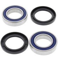 Kit rodamientos de rueda ALL BALLS 25-1313
