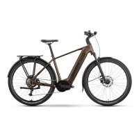 Bicicleta ebike raymon tahona