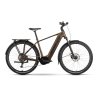 Bicicleta ebike raymon tahona