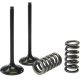 Kit de válvula acero y muelle PROX admisión Honda 28.SIS1337-2