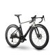 bicicleta Raymon Arva Ultimate
