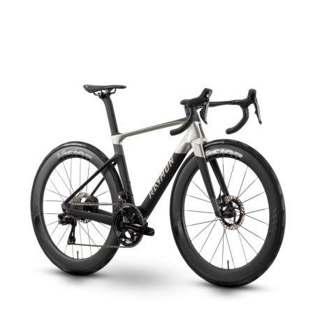 bicicleta Raymon Arva Ultimate