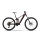 Bicicleta ebike Raymon Durok Pro