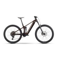 Bicicleta ebike Raymon Durok Pro