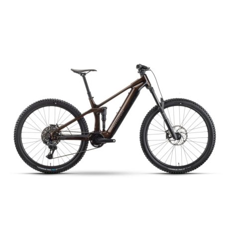 Bicicleta ebike Raymon Durok Pro