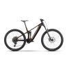 Bicicleta ebike Raymon Durok Pro