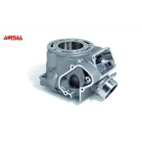 Cilindro airsal YAM YZ 125 03127454