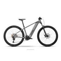 BLACK FRIDAY Bicicleta ebike Raymon zorq pure gris