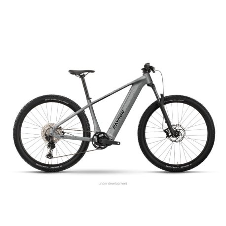 BLACK FRIDAY Bicicleta ebike Raymon zorq pure gris